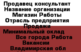 Продавец-консультант › Название организации ­ Магазин Работы › Отрасль предприятия ­ Продажи › Минимальный оклад ­ 27 000 - Все города Работа » Вакансии   . Владимирская обл.,Муромский р-н